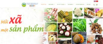 Quy chế hoạt động của Hội đồng đánh giá, phân hạng sản phẩm OCOP tỉnh Bình Phước