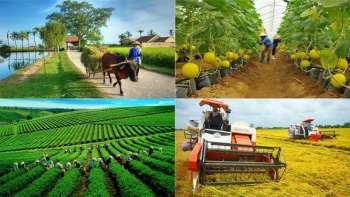 Phát triển hợp tác xã nông nghiệp trong tái cơ cấu ngành nông nghiệp, xây dựng nông thôn