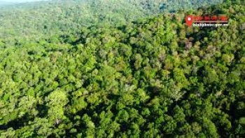 Đề án nâng cao chất lượng rừng nhằm bảo tồn hệ sinh thái rừng và phòng chống thiên tai đến năm 2030 